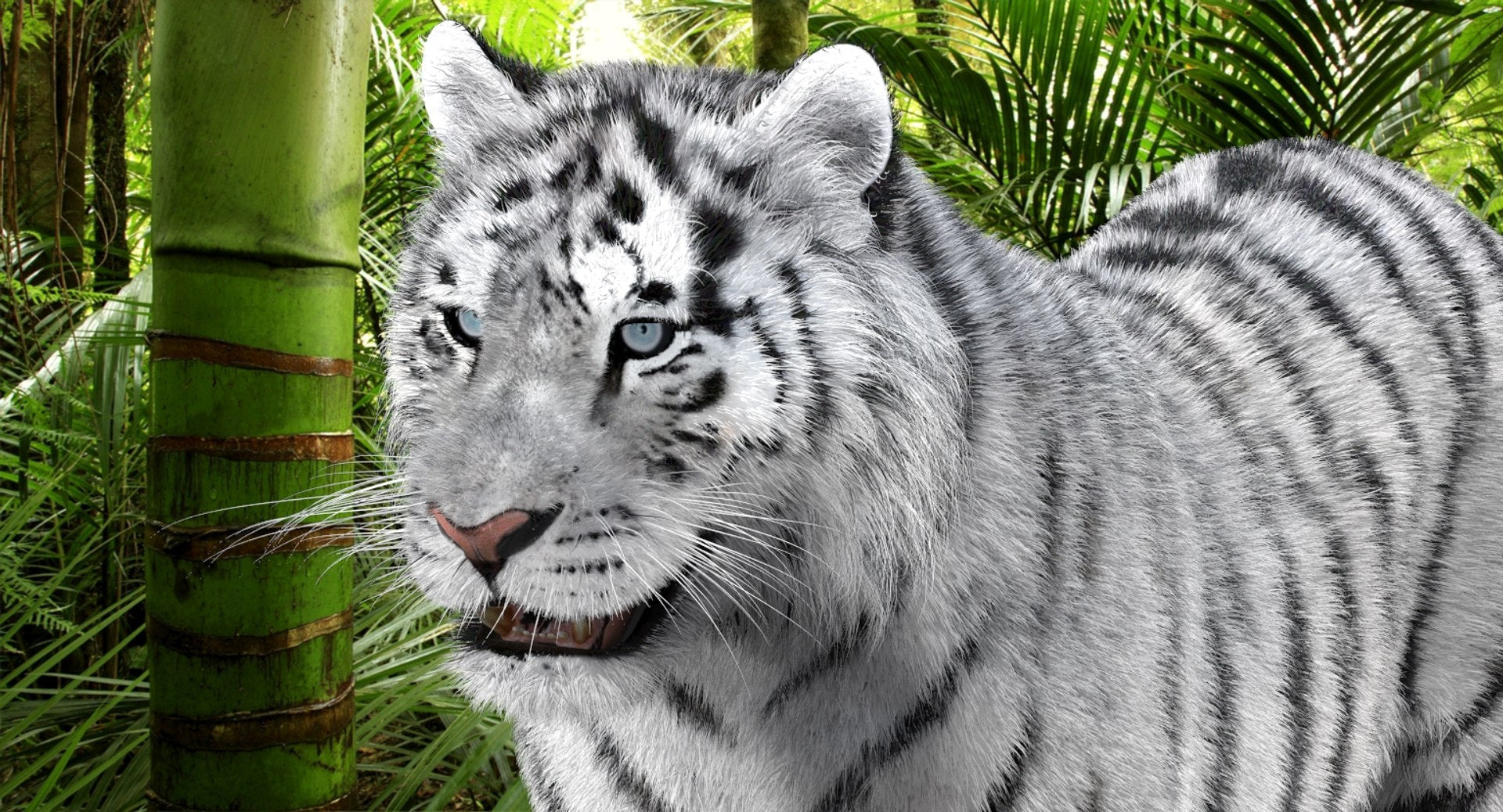 White Tiger 3D model with realistic groomed hair and fur