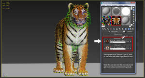 Tiger Amur Fur Two Color 3D Model Thumbnail