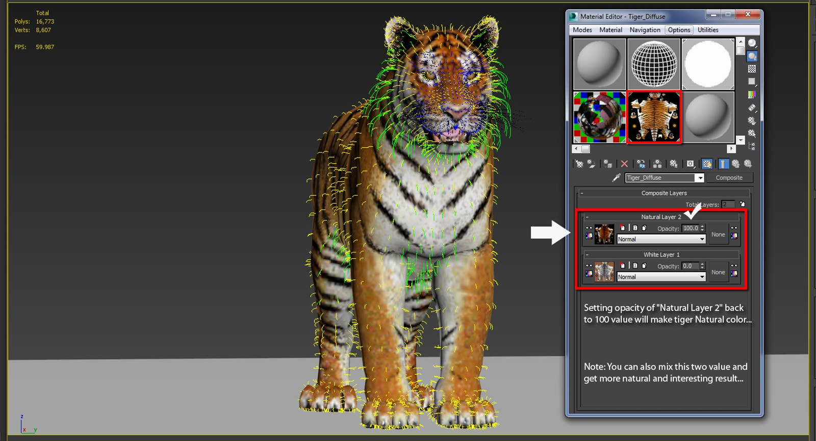 Tiger Amur Fur Two Color 3D Model