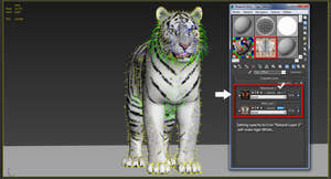 Tiger Amur Fur Two Color 3D Model Thumbnail