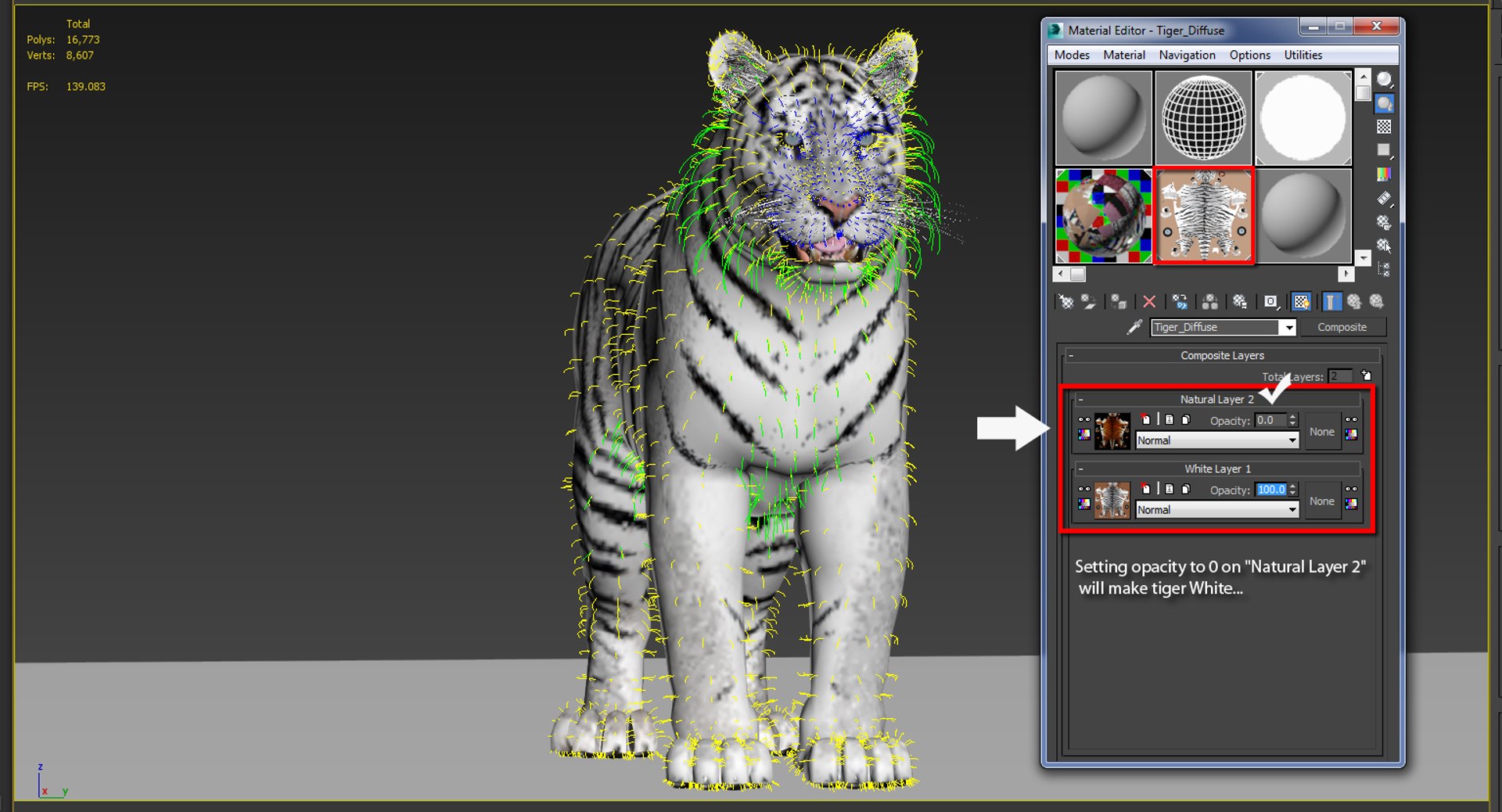 Tiger Amur Fur Two Color 3D Model