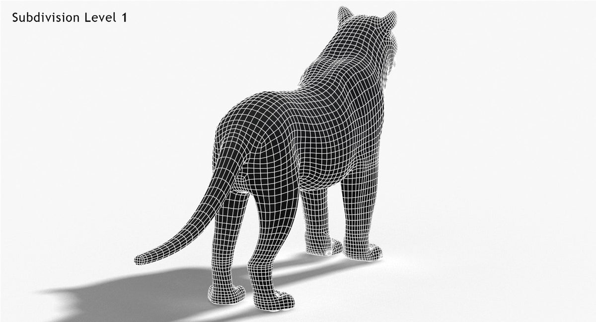 Amur Tiger 3D Model - Hair and Fur / Two Color