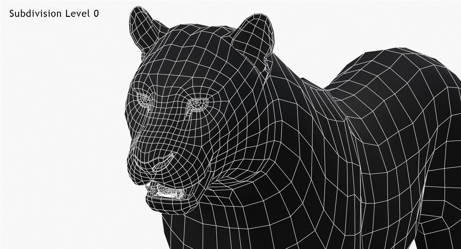 Tiger Amur Fur Two Color 3D Model