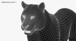 Tiger Amur Fur Two Color 3D Model Thumbnail