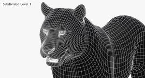 Amur Tiger 3D Model - Hair and Fur / Two Color Thumbnail