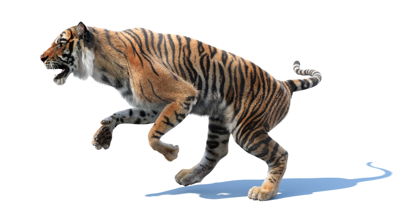 Animated Tiger 3D Model with Fur 360° view 3 frame 29