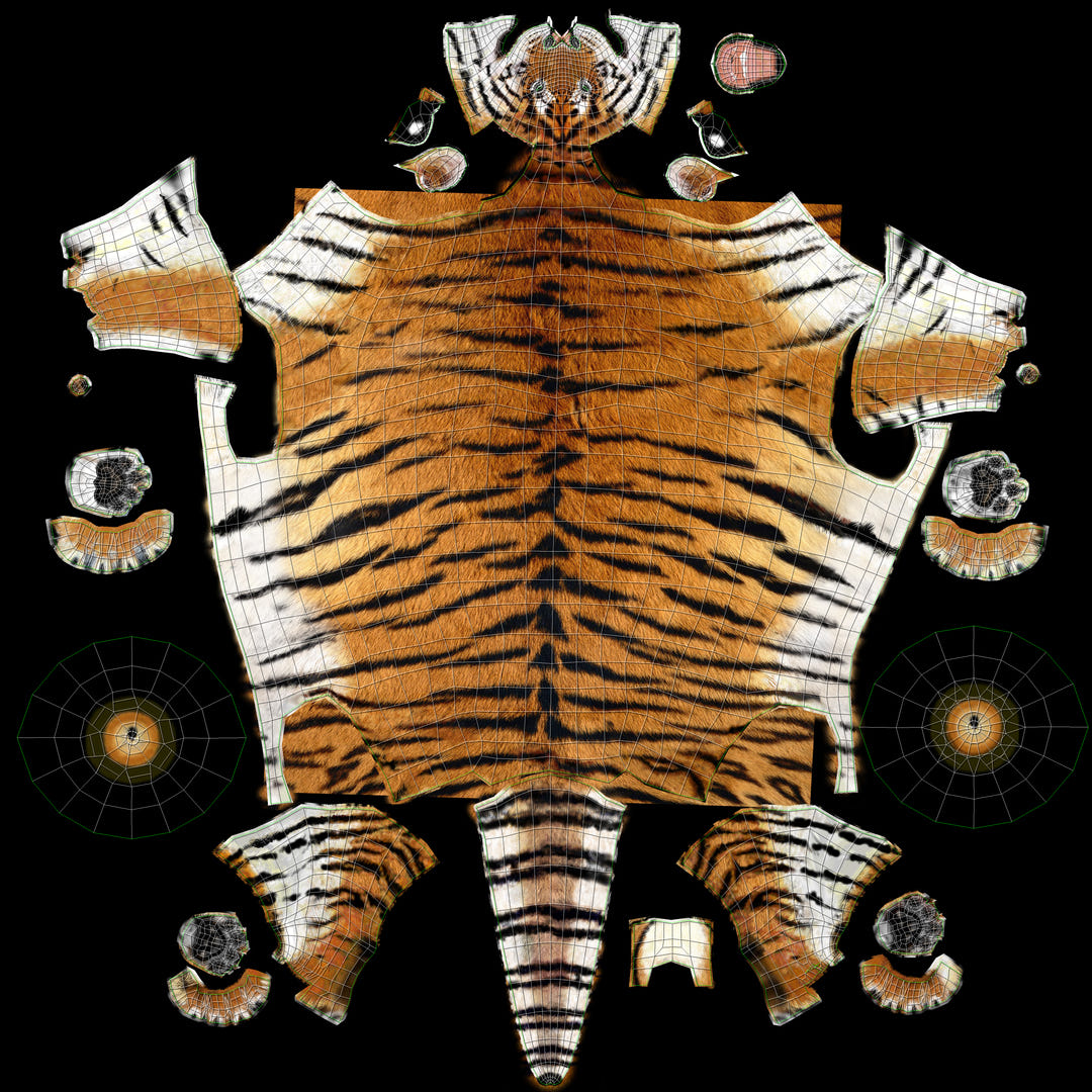 Big Cats 3D Model Animated