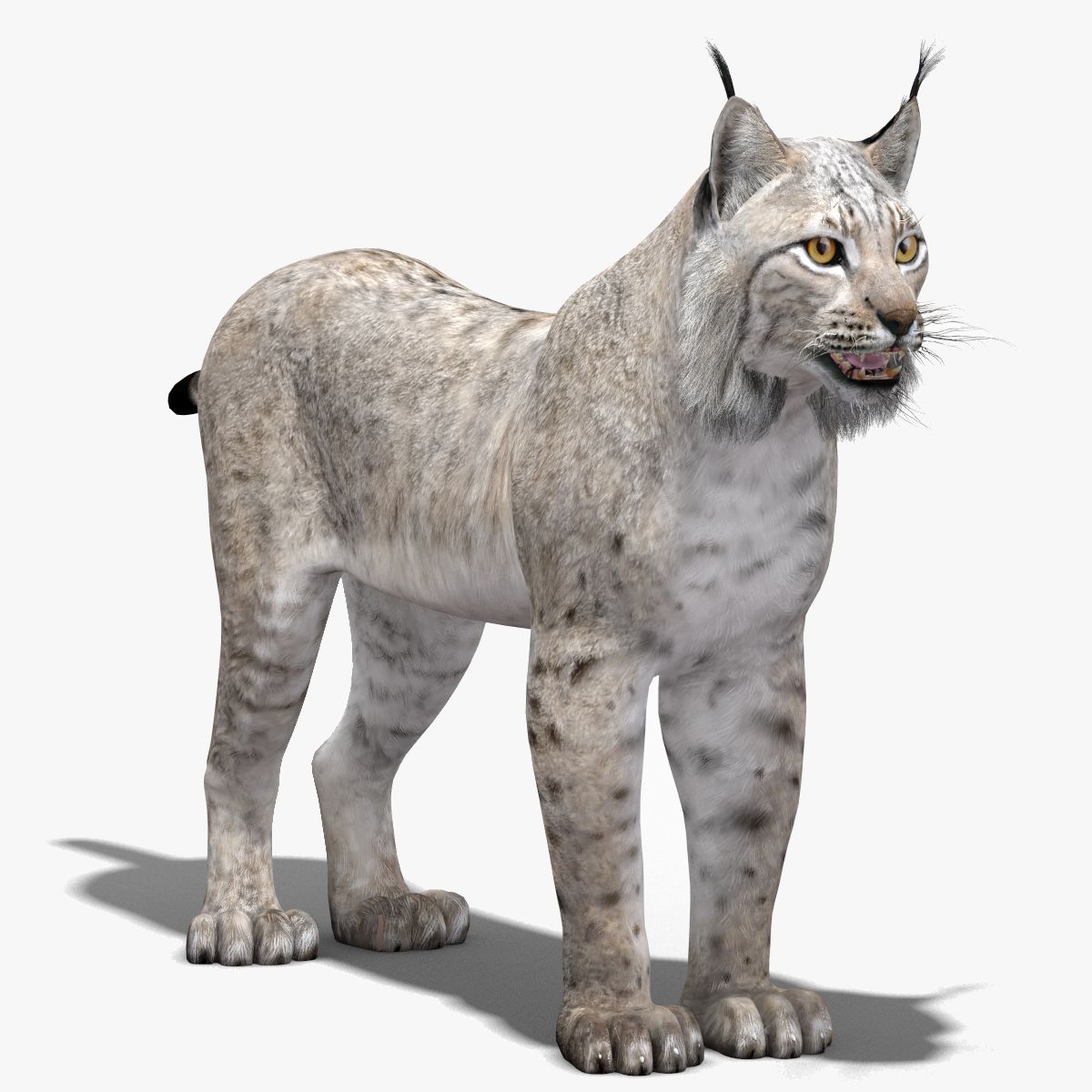White Eurasian Lynx 3D Model — High-Quality Static Asset