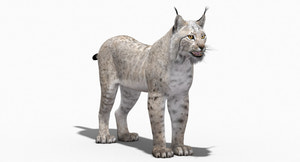 White Eurasian Lynx 3D Model — High-Quality Static Asset Thumbnail