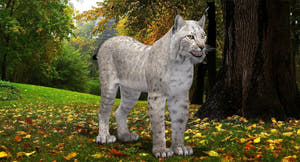White Lynx 3D Model for download Thumbnail