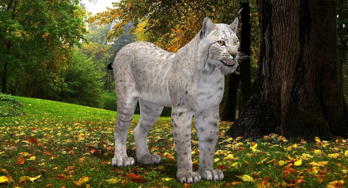 White Lynx 3D Model for download