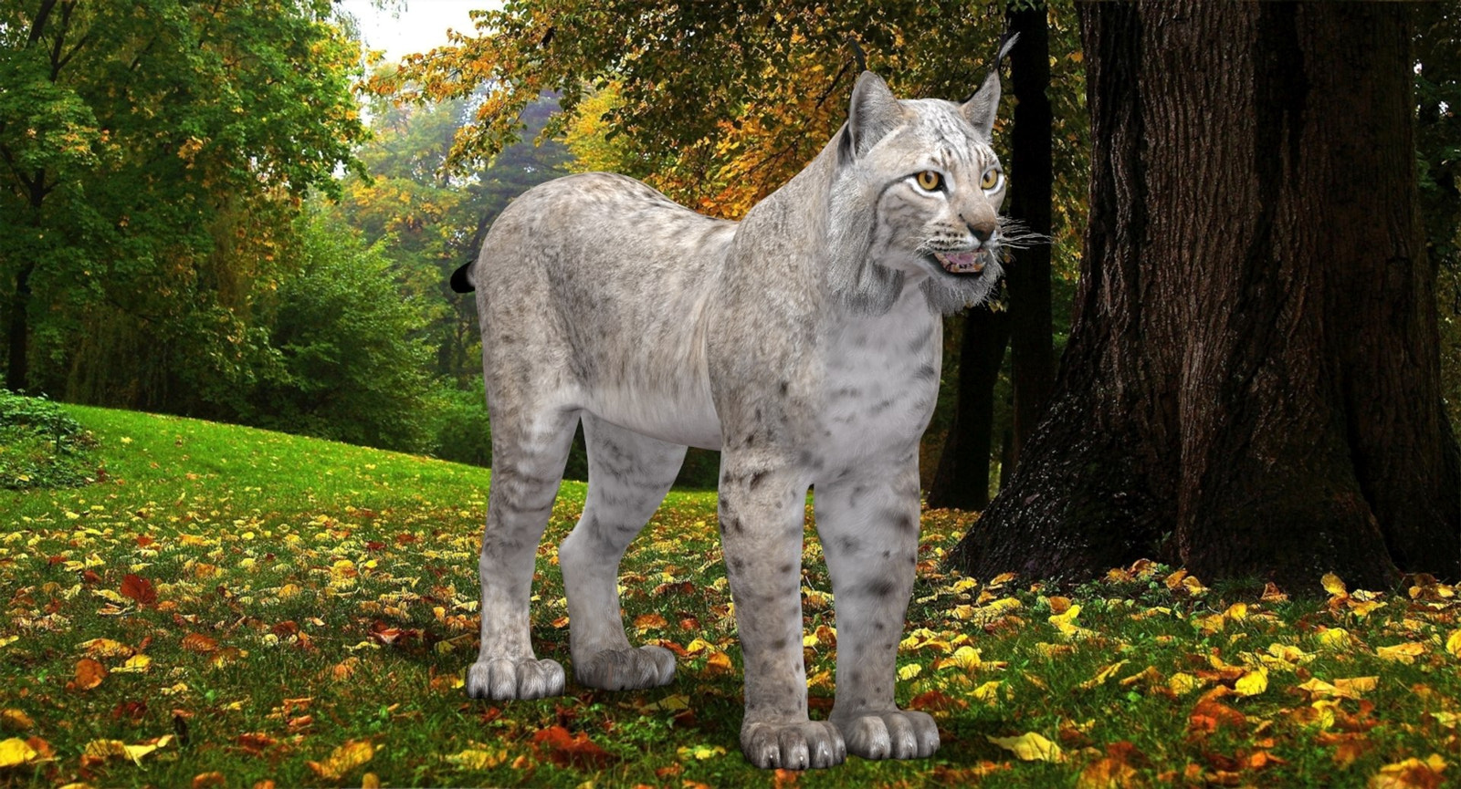 White Lynx 3D Model for download