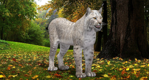 White Lynx 3D Model for download Thumbnail