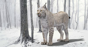 White Eurasian Lynx 3D Model — High-Quality Static Asset Thumbnail