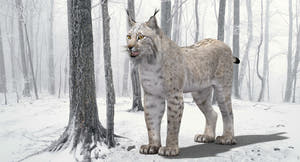 White Eurasian Lynx 3D Model — High-Quality Static Asset Thumbnail
