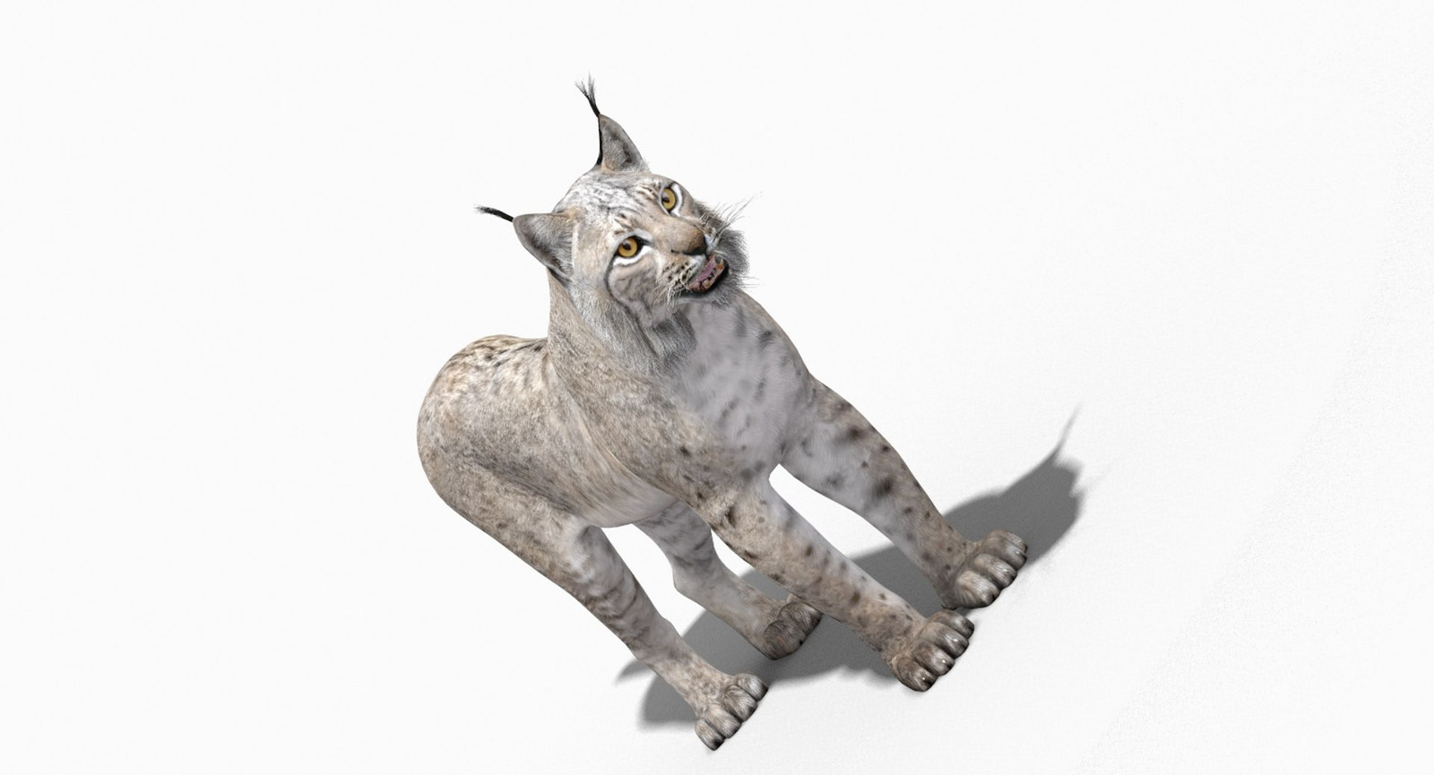 White Lynx 3D Model for Download