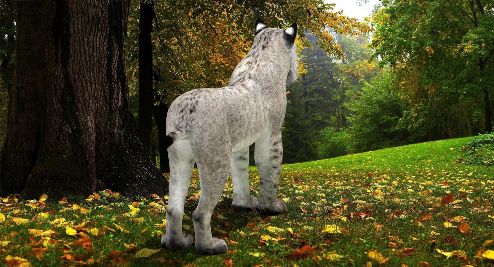 Realistic Wite Lynx 3D Model for Game, AR, and CGI