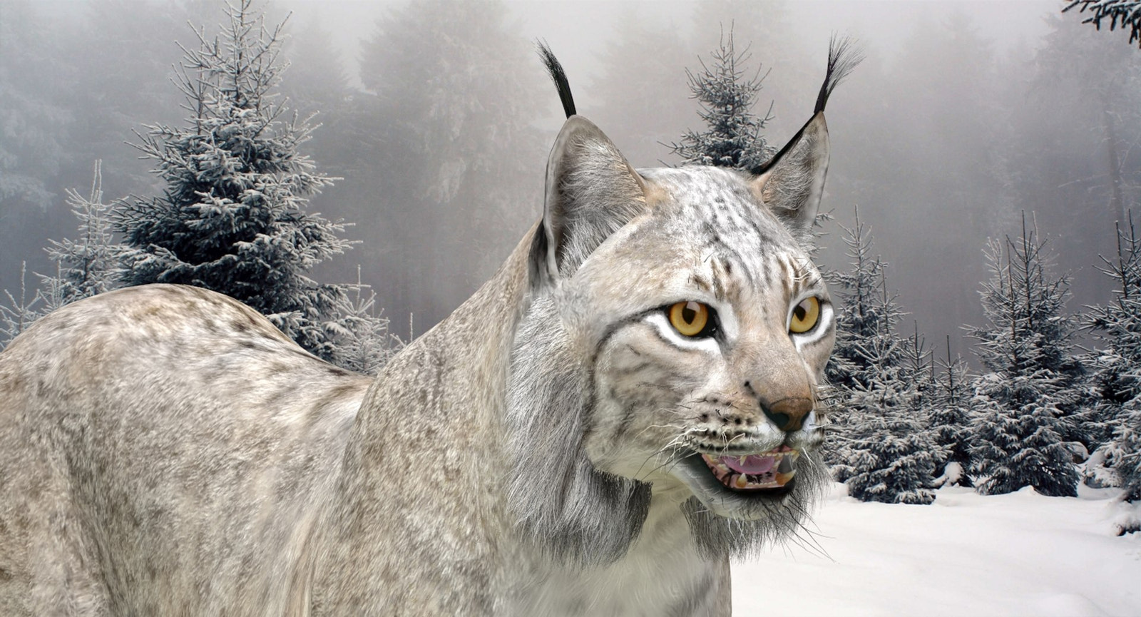 Realistic Wite Lynx Cat 3D Model for Game, AR, and CGI
