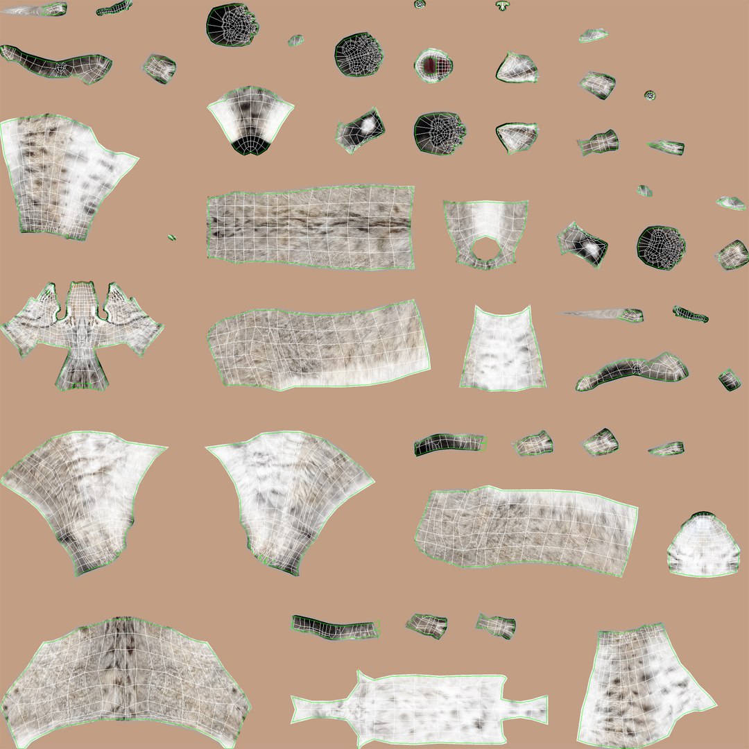 Wite Lynx 3D Model Body UVs
