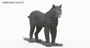 Wite Lynx 3D Model Wireframe View 0 Thumbnail