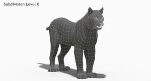 Wite Lynx 3D Model Wireframe View 0 Thumbnail