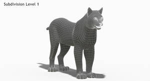 Wite Lynx 3D Model Wireframe View 1 Thumbnail
