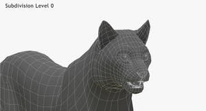 Wite Lynx 3D Model Head Close Up - Wireframe View 0  Thumbnail