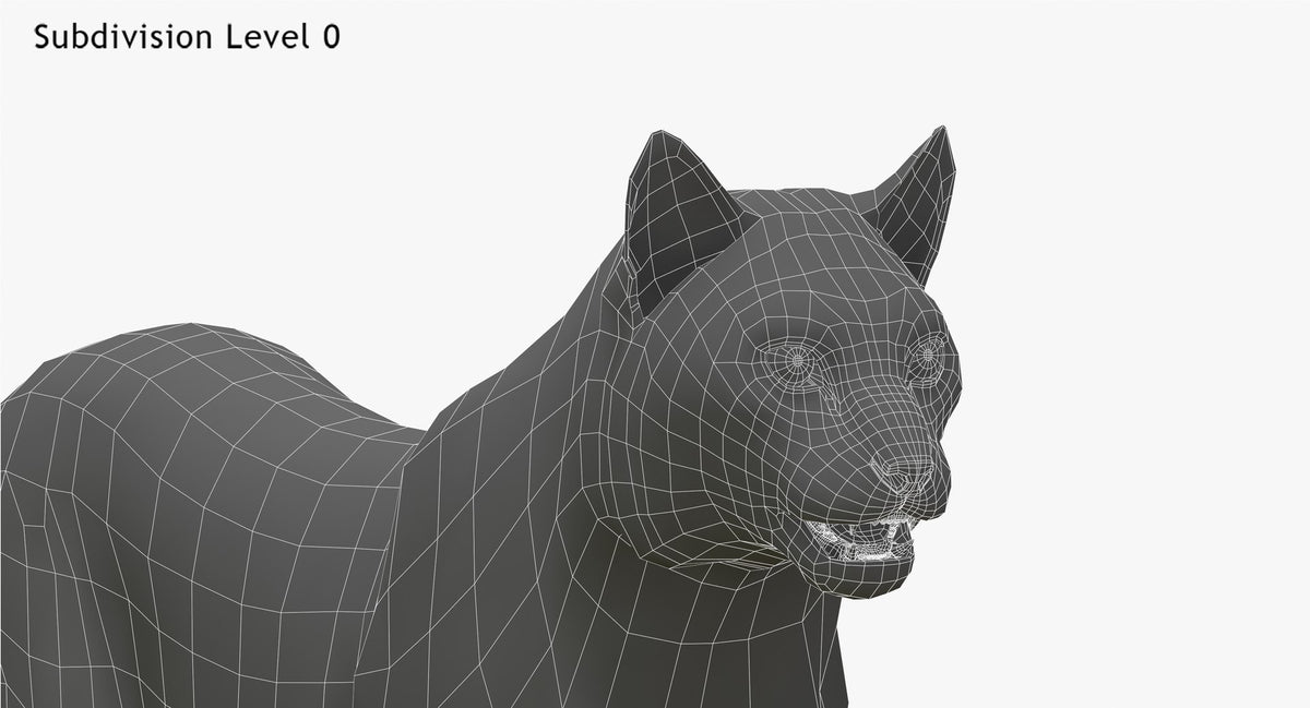 Wite Lynx 3D Model Head Close Up - Wireframe View 0 