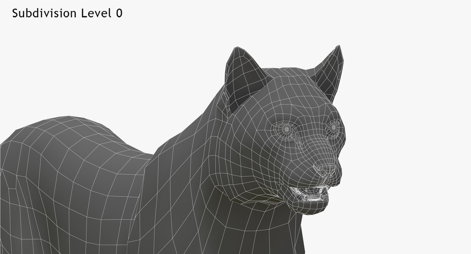 Wite Lynx 3D Model Head Close Up - Wireframe View 0 