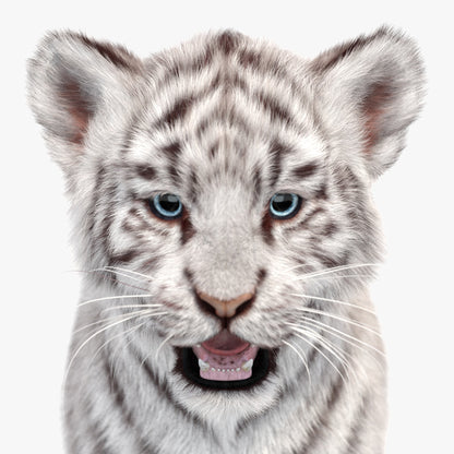 White Tiger Cub 3D Model with Groomed Hair