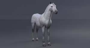 Horse 3D Model White Thumbnail
