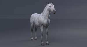 Horse 3D Model White Thumbnail
