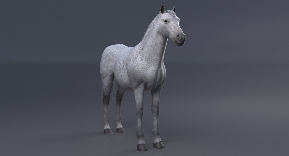 Horse 3D Model White