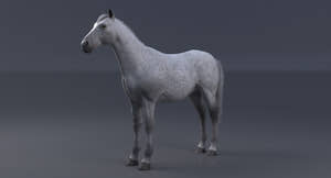 Horse 3D Model White Thumbnail