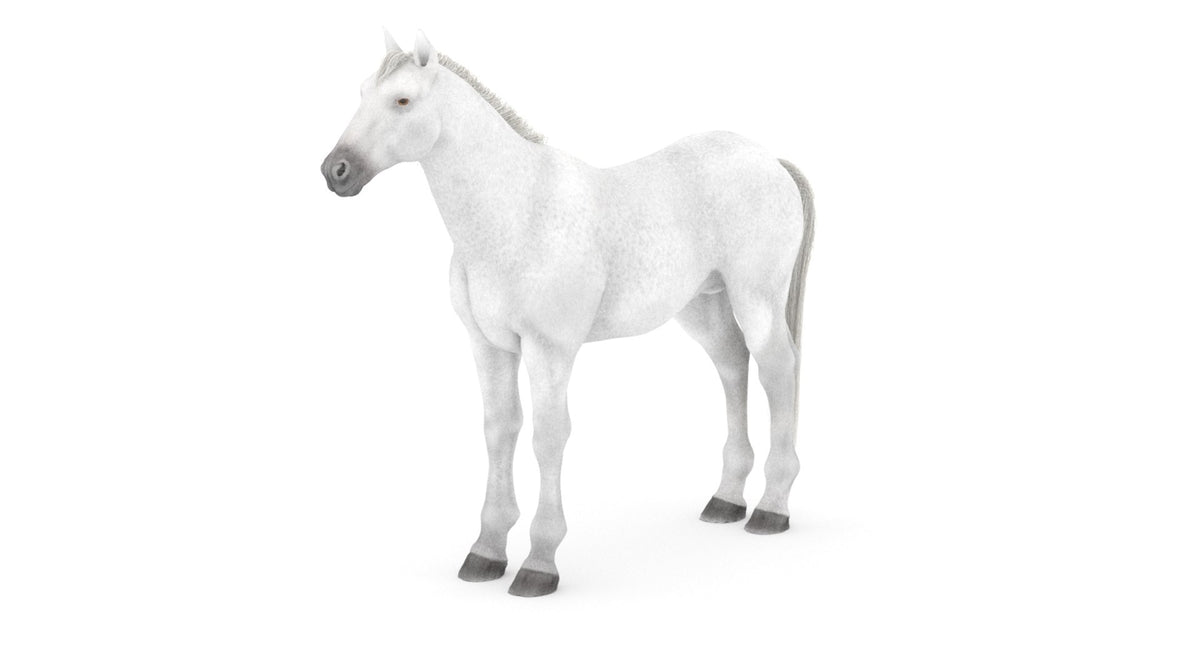 White Horse 3D Model