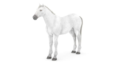 White Horse 3D Model