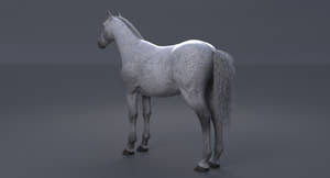 Horse 3D Model White Thumbnail
