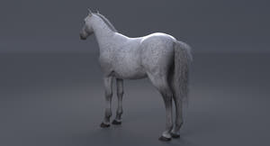 Horse 3D Model White Thumbnail