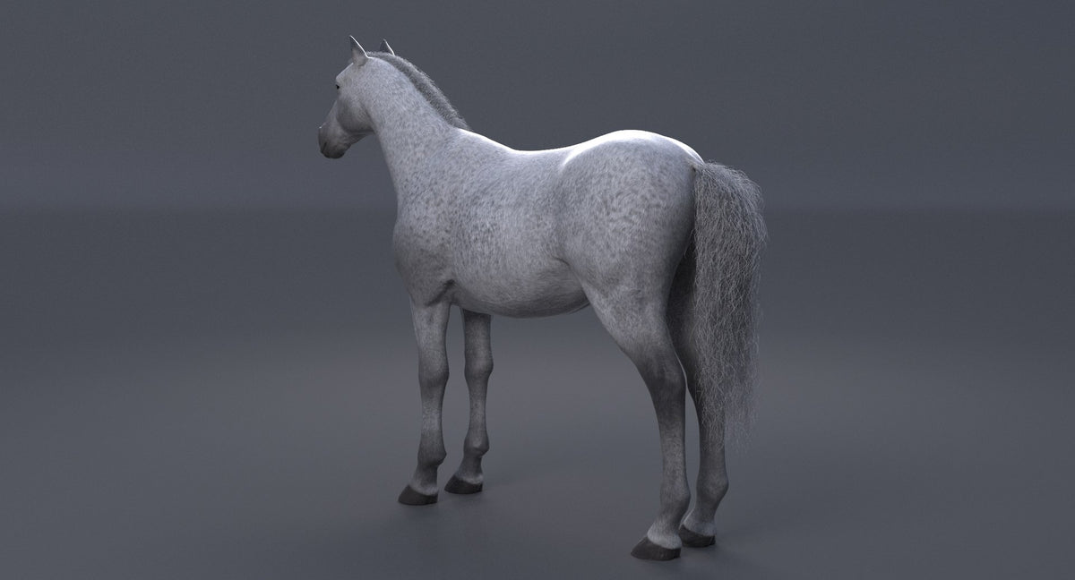 Horse 3D Model White