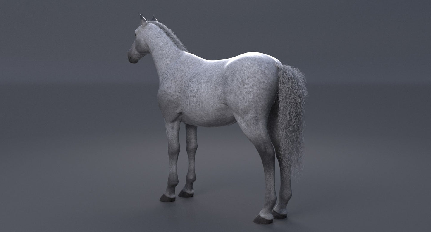 Horse 3D Model White