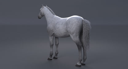 Horse 3D Model White