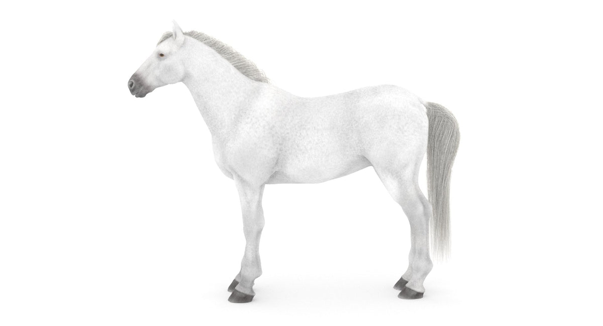 White Horse 3D Model