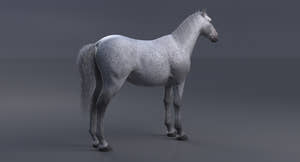 Horse 3D Model White Thumbnail