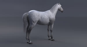 Horse 3D Model White Thumbnail