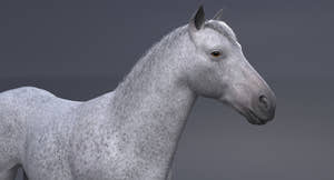 Horse 3D Model White Thumbnail