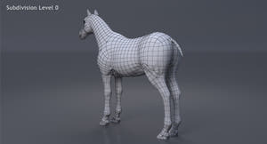 Horse 3D Model White Thumbnail