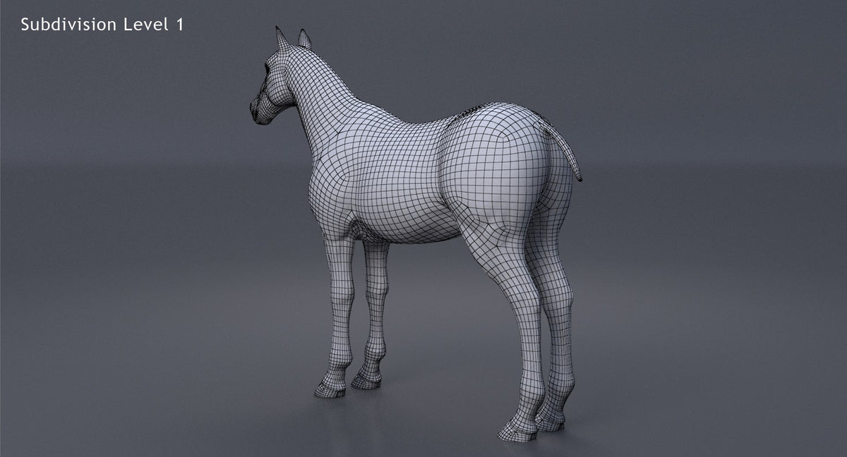 Horse 3D Model White