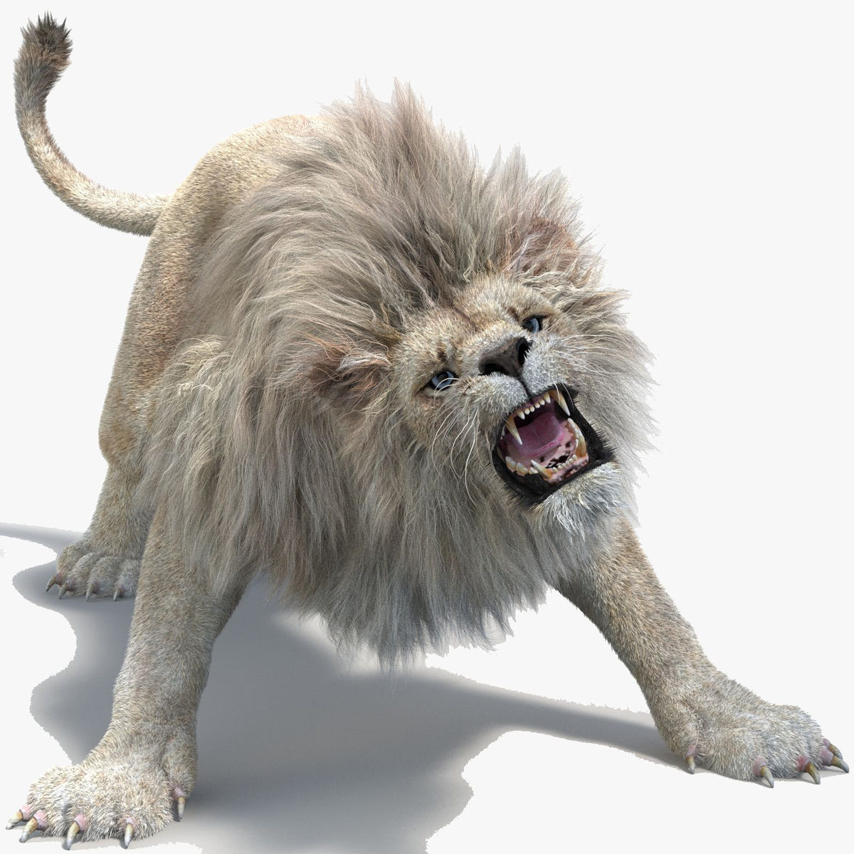 Animated White Lion 3D Model with Fur