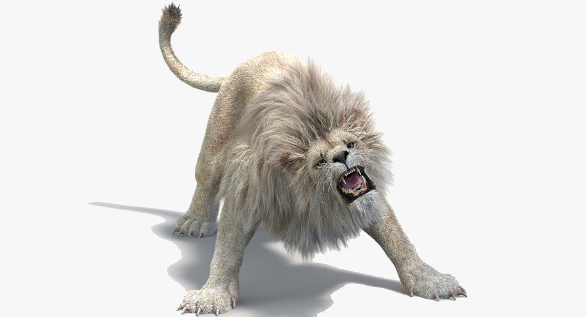 Animated White Lion 3D Model with Lifelike Fur