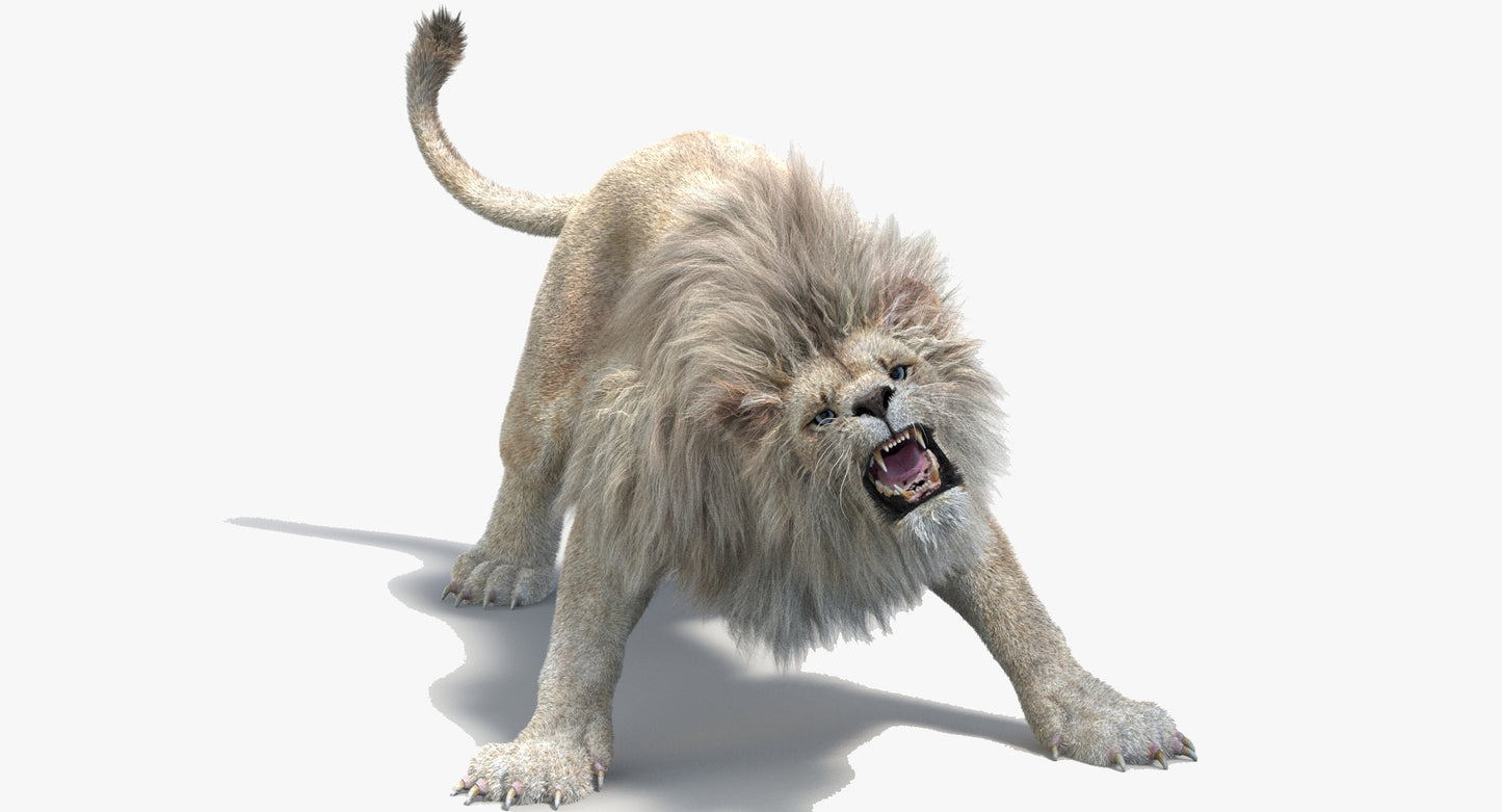 Animated White Lion 3D Model Fur